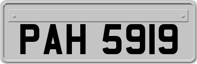 PAH5919