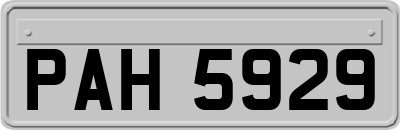 PAH5929