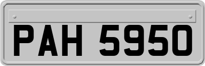 PAH5950