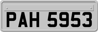 PAH5953