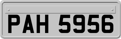 PAH5956