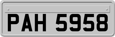 PAH5958