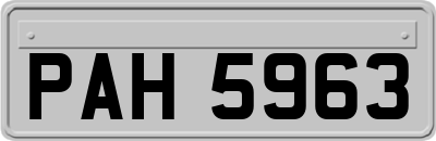 PAH5963