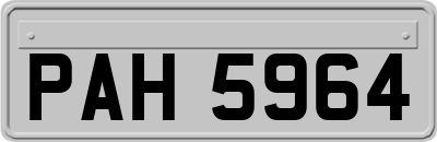 PAH5964