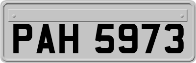 PAH5973