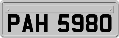 PAH5980
