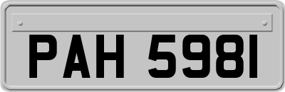 PAH5981