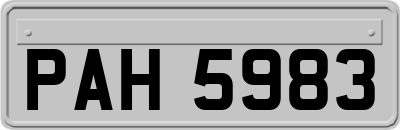 PAH5983