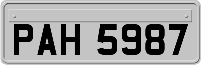 PAH5987