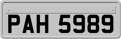 PAH5989