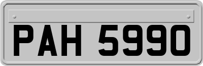 PAH5990