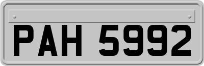 PAH5992