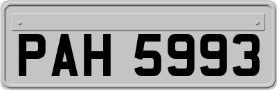 PAH5993