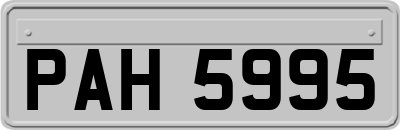 PAH5995