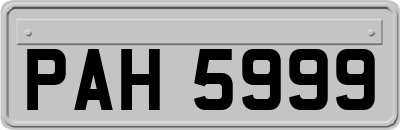 PAH5999