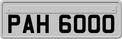 PAH6000