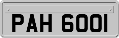 PAH6001