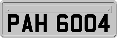 PAH6004
