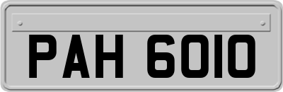 PAH6010