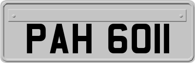 PAH6011