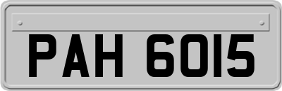 PAH6015