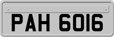 PAH6016