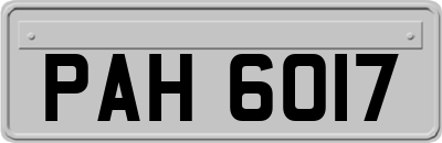PAH6017