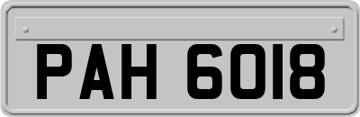 PAH6018