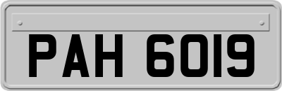 PAH6019