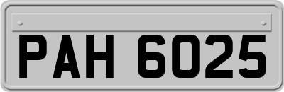 PAH6025