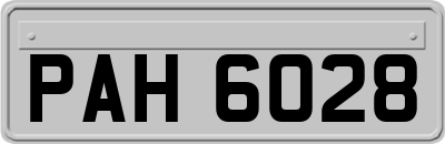 PAH6028