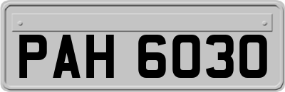 PAH6030