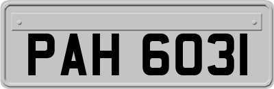 PAH6031