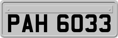 PAH6033