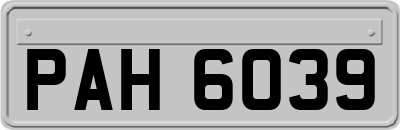 PAH6039