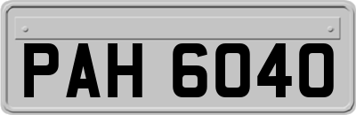 PAH6040