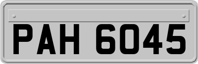 PAH6045