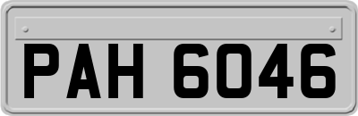 PAH6046