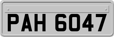 PAH6047