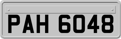 PAH6048