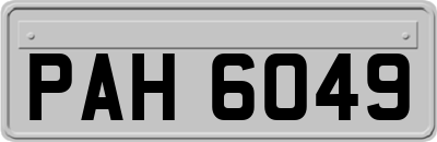 PAH6049