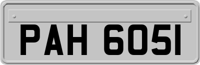 PAH6051