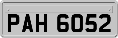 PAH6052