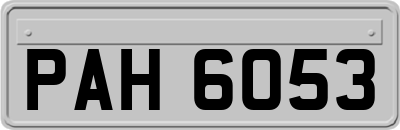 PAH6053