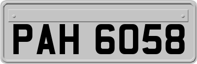 PAH6058