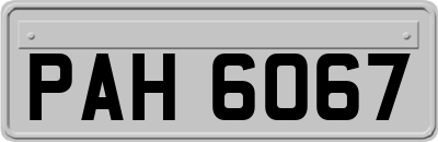 PAH6067