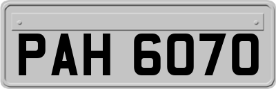 PAH6070