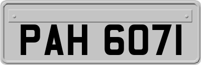 PAH6071