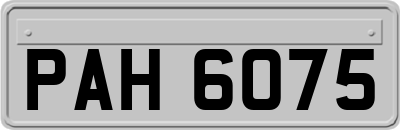 PAH6075