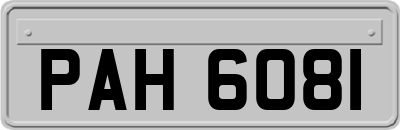 PAH6081